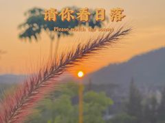 -白石龙音乐公园