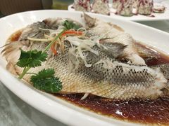 清蒸鲈鱼-双井轩(双井店)