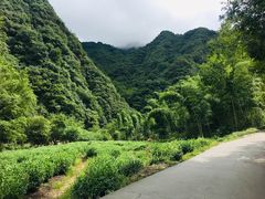-水墨汀溪风景区