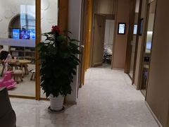 -柏乐口腔医院·舒适化无痛种植牙中心(东盟商务区院)