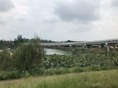 -白鹭湾湿地公园