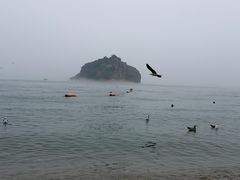 -棒棰岛宾馆景区