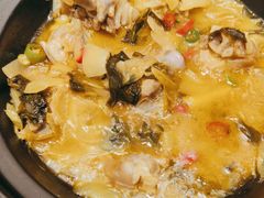 -松沪名灶·豆浆鱼头·新上海菜(飞航吾悦广场店)