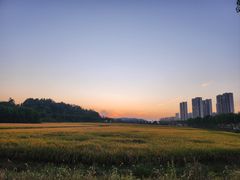 -花博汇(知音花月夜)