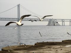 -星海广场
