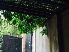 福1039-福1039(愚园路店)