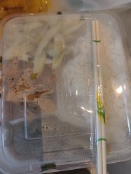 -Yestar宁波艺星整形医院