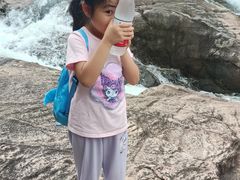 -广州白江湖森林公园