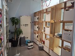 -PETKIT 小佩宠物·德文赛凯猫舍