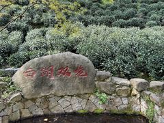 -宋宴(虎跑店)