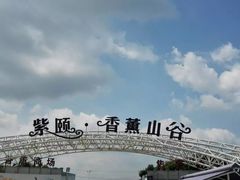 -紫颐香薰山谷景区