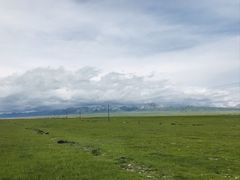 -大冬树山垭口