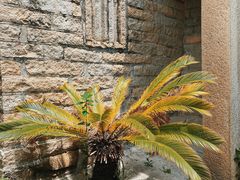 -草庵摩尼教遗址公园