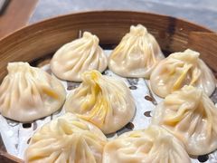 -莱莱小笼·乔艾