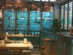 -香坝坝鲜鱼火锅(春熙路店)
