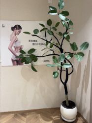 -美丽妈妈产后恢复中心(南桥旗舰店)