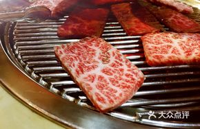 Premium Frost-Flake Beef