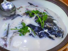 千岛湖浓汤鱼头-全乐鱼馆·淳牌有机鱼直营店