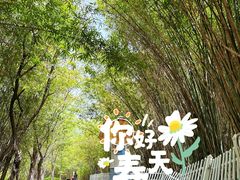 -武汉园博园(武汉自然博物馆)