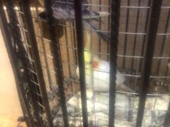 -浣溪沙富硒温泉