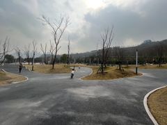 -金海湾滨江公园