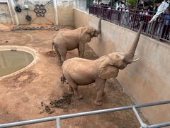 -西霞口神雕山野生动物世界