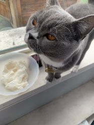 -Pink You美甲美睫纹绣定制中心