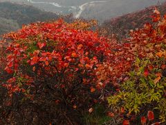 -水峪民俗村