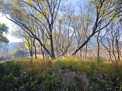 -西湖风景区-江洋畈生态公园