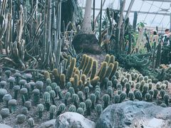 -南山植物园