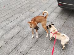 -长沙市青少年宫