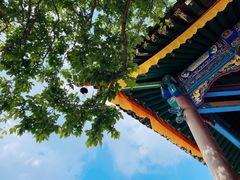 -五台山风景名胜区