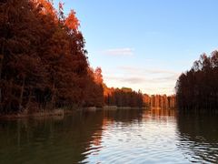 -上海海湾国家森林公园