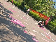 -燕塞湖鸟语林景区