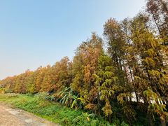 -广州市紫泥堂文化创意园景区