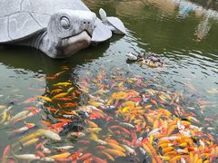 -广州莲花山旅游区