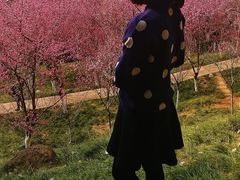 -富乐山