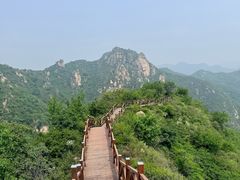 -大岭沟猕猴桃谷风景区