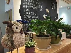 -猫的天空之城概念书店(印象城购物中心店)