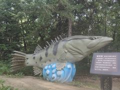 -茅兰沟国家森林公园