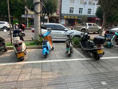 -林氏圆子(胞波路店)