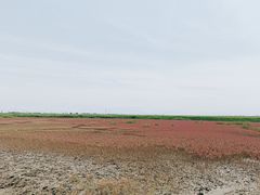 -红海滩国家风景廊道
