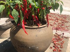 -梁家河村红色旅游区