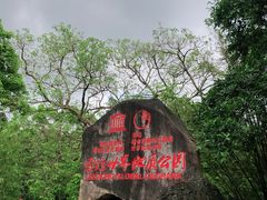 -海口火山口国家地质公园