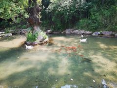-云丘山景区