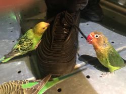 -酷嗒动物文化乐园(cutezoo西溪乐天城店)