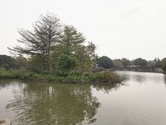 -海珠湖公园