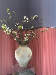 -花隐·美芙炫海菲秀皮肤管理中心