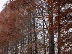 -华南国家植物园-售票处