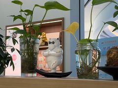 -长风拨筋养身(金虹桥店)